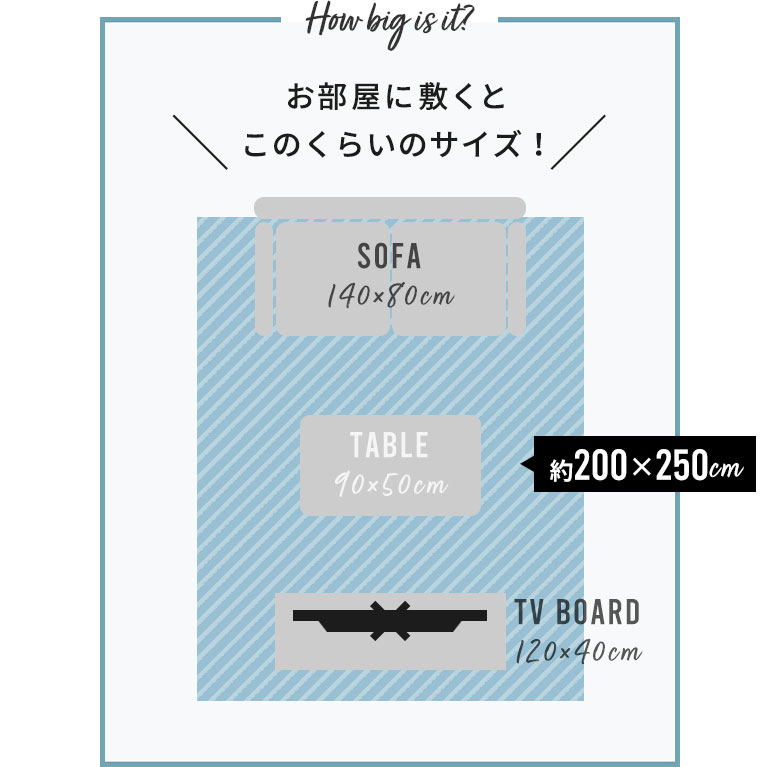 お部屋に敷くと、このくらいのサイズ
