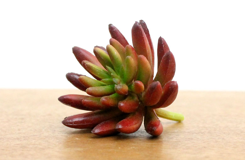 多肉植物 造花 フェイクグリーン フェイク多肉植物 セダム 乙女心 アーティフィシャルフラワー