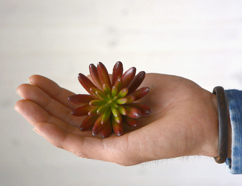多肉植物 造花 フェイクグリーン フェイク多肉植物 セダム 乙女心 アーティフィシャルフラワー