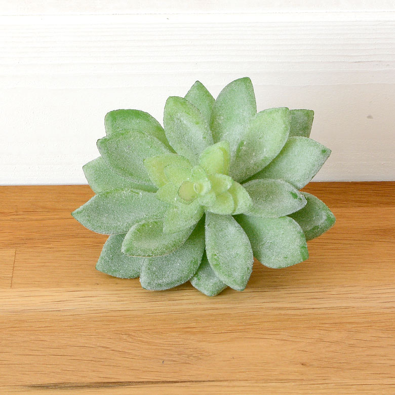 多肉植物 造花 フェイクグリーン フェイク多肉植物 アオニウム 黒梁 アーティフィシャルフラワー