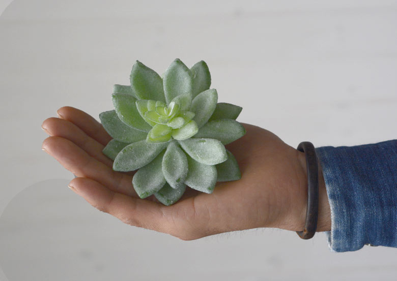 多肉植物 造花 フェイクグリーン フェイク多肉植物 アオニウム 黒梁 アーティフィシャルフラワー