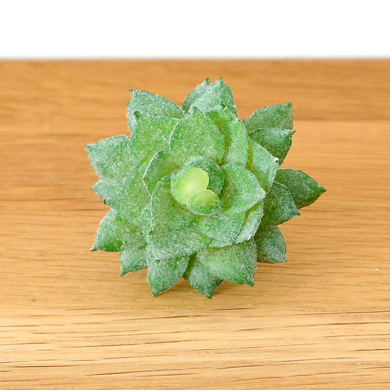 多肉植物 造花 フェイクグリーン フェイク多肉植物 パキベリア 霜の朝 アーティフィシャルフラワー