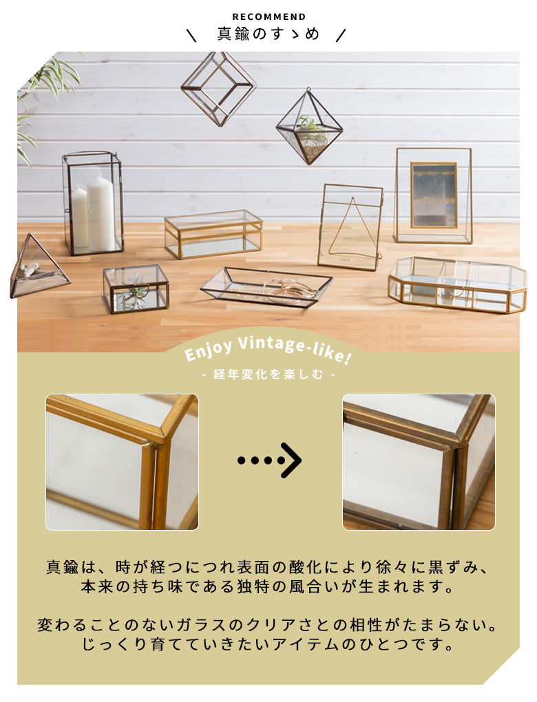 ガラスと真鍮でできた多面体テラリウム ［大］(63140)【生活雑貨の