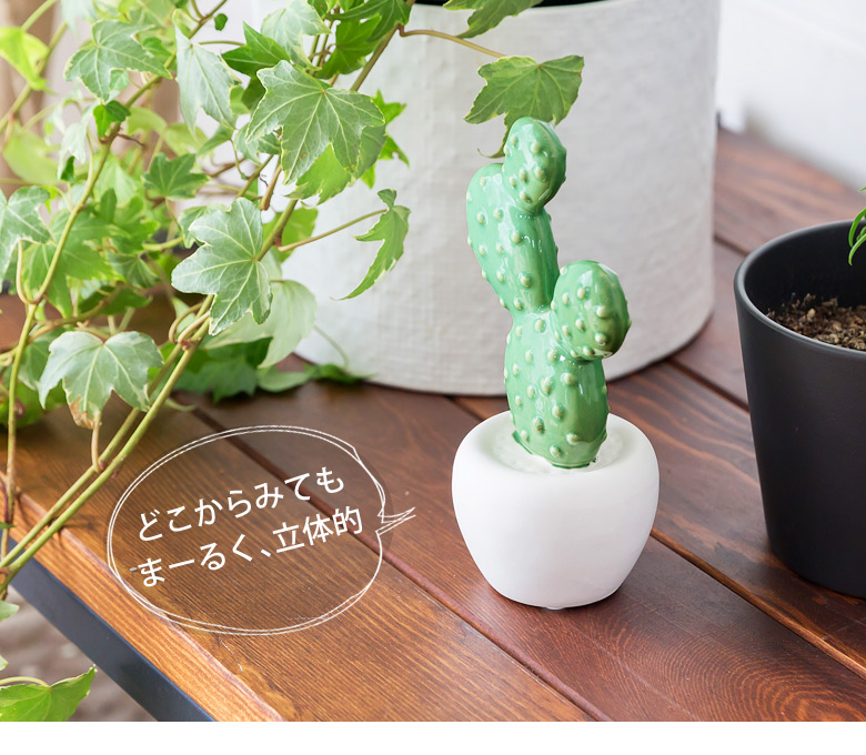 ウチワサボテンのオブジェ
