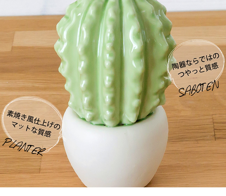 タマサボテンのオブジェ