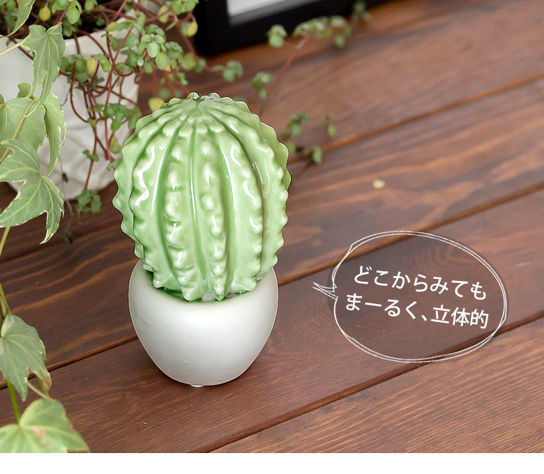 タマサボテンのオブジェ