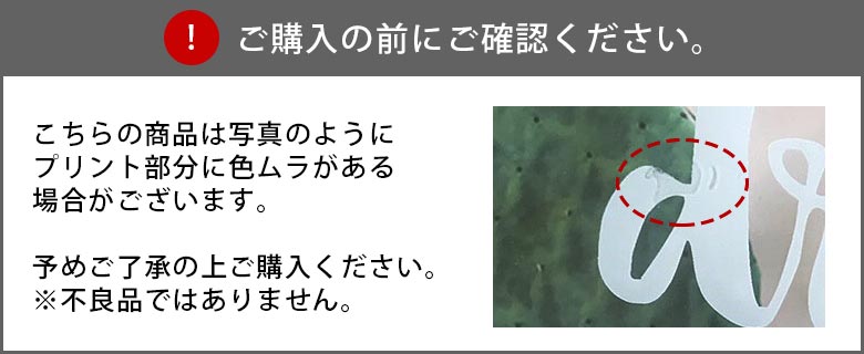 メッセージガラス付きサボテンアートフレームご注意