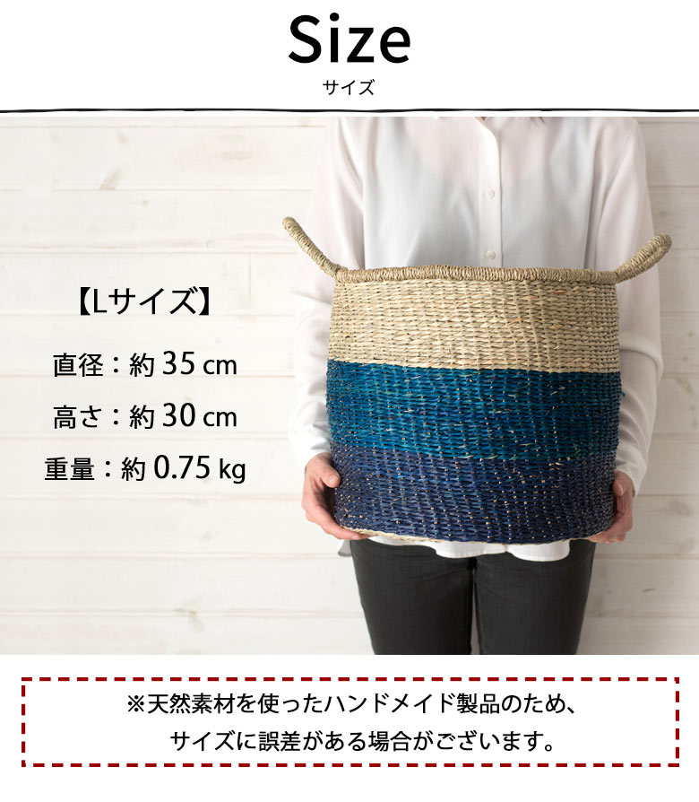 サイズ