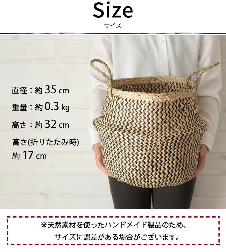 サイズ