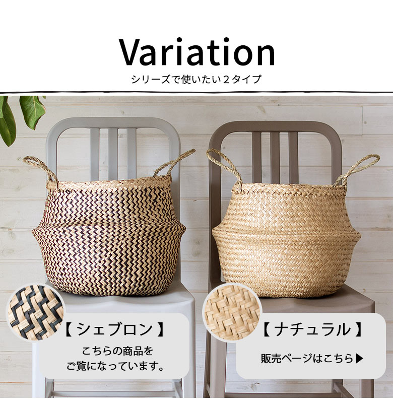 バリエーション