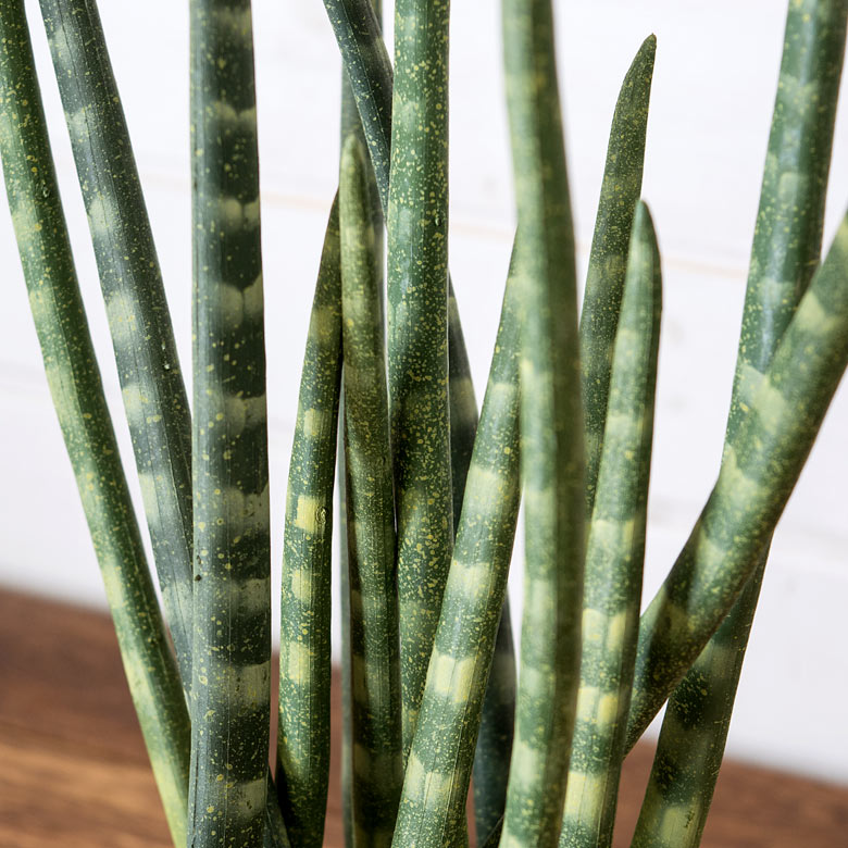 植物を手軽に楽しむことができるフェイクグリーン。