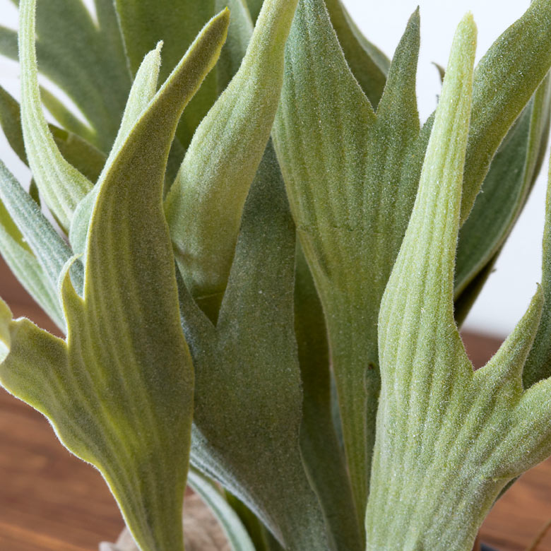 植物を手軽に楽しむことができるフェイクグリーン。