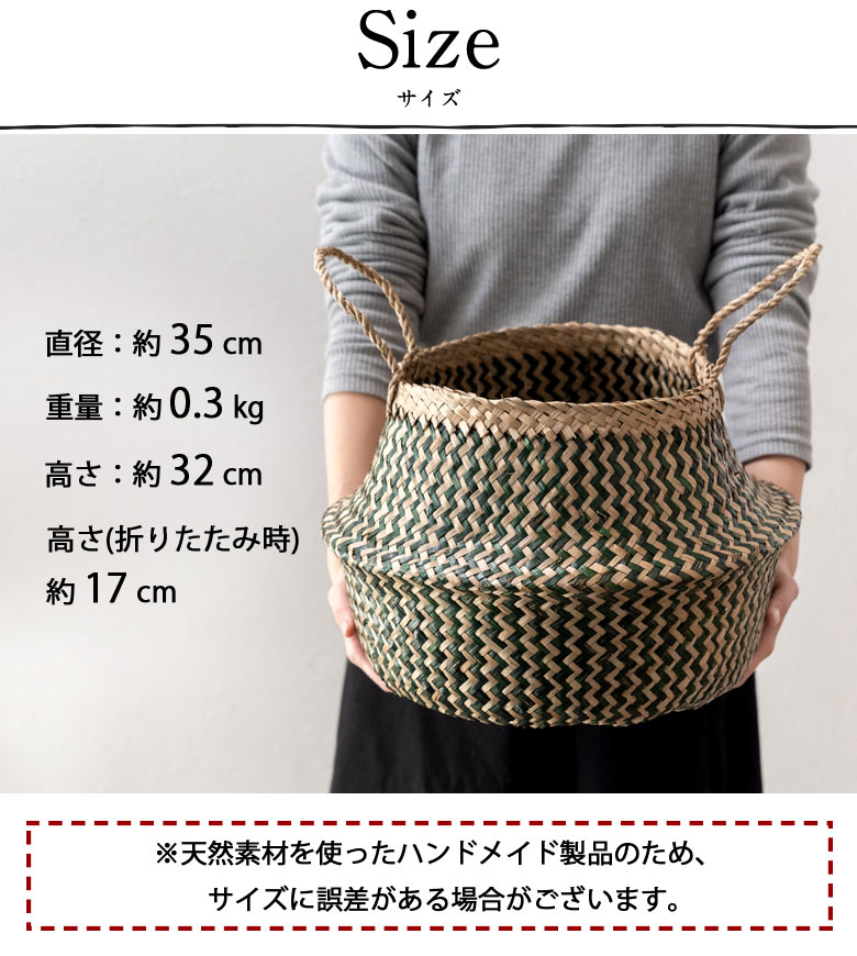 サイズ