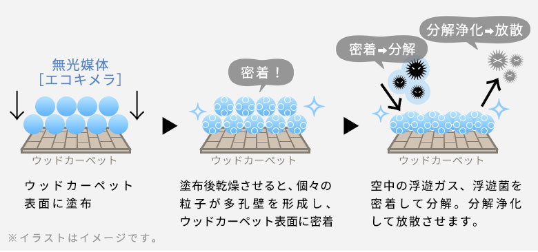 無光媒体エコキメラ