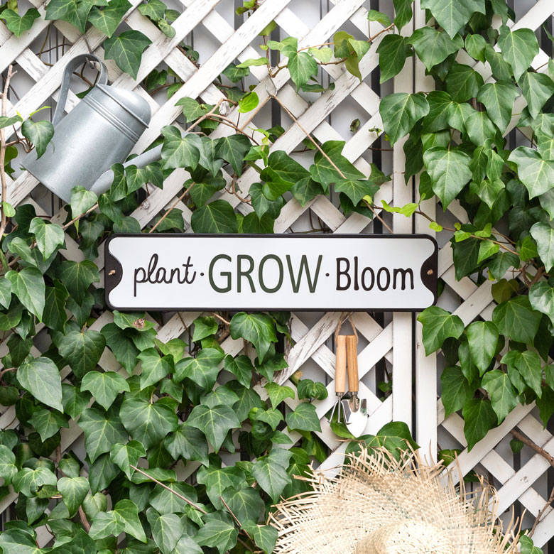 plant GROW Bloon