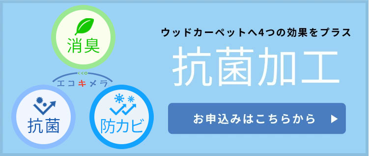 抗菌加工エコキメラ