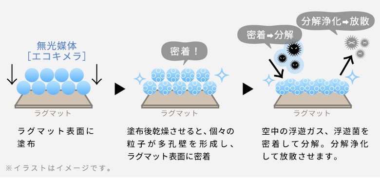 無光媒体エコキメラ