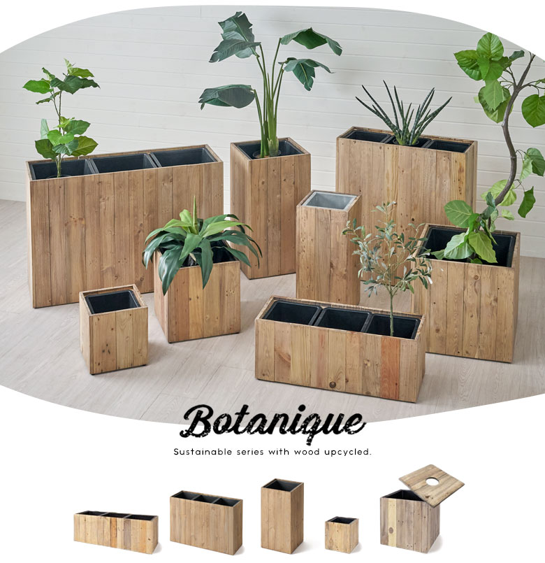 ボタニークシリーズ