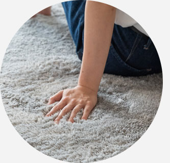 毛並みの反対方向に向かってブラッシングしてからご使用ください