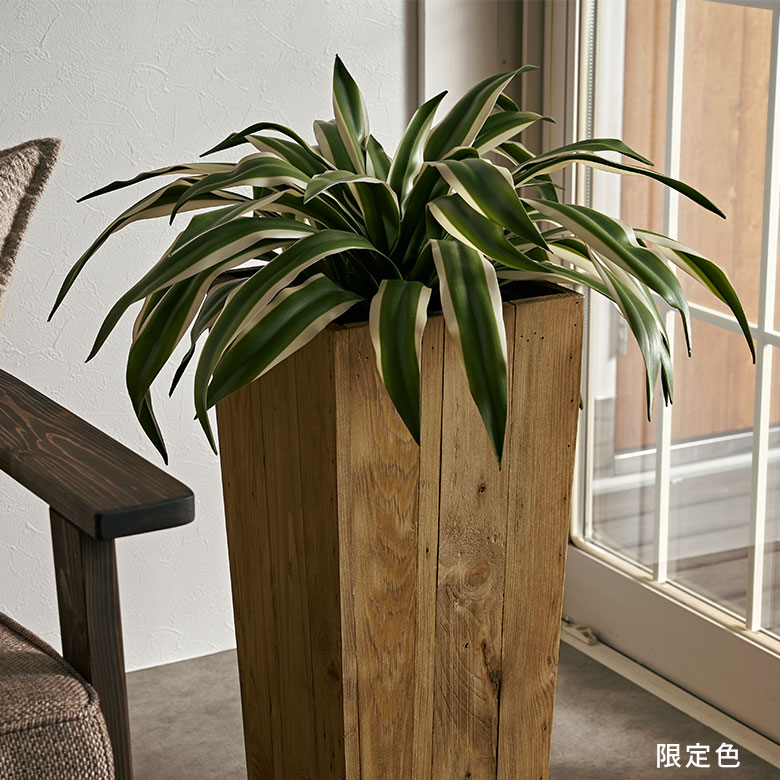 ボックスウッド 観葉植物 茶色鉢 プランターカバー ウッドプランターボックス ウッドプランターカバー