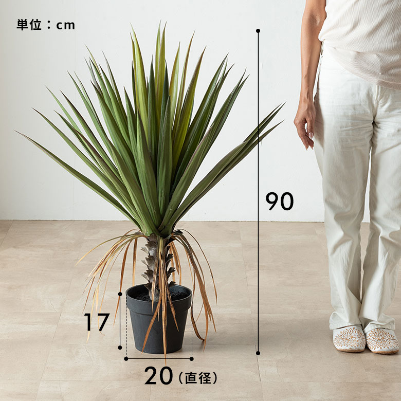 サイズ