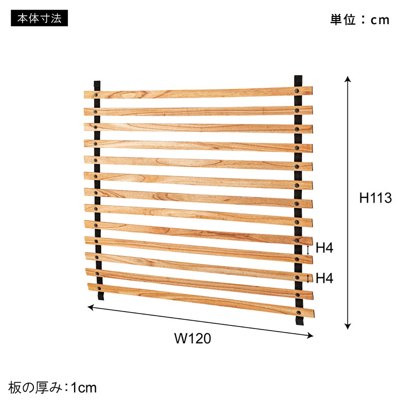 サイズ