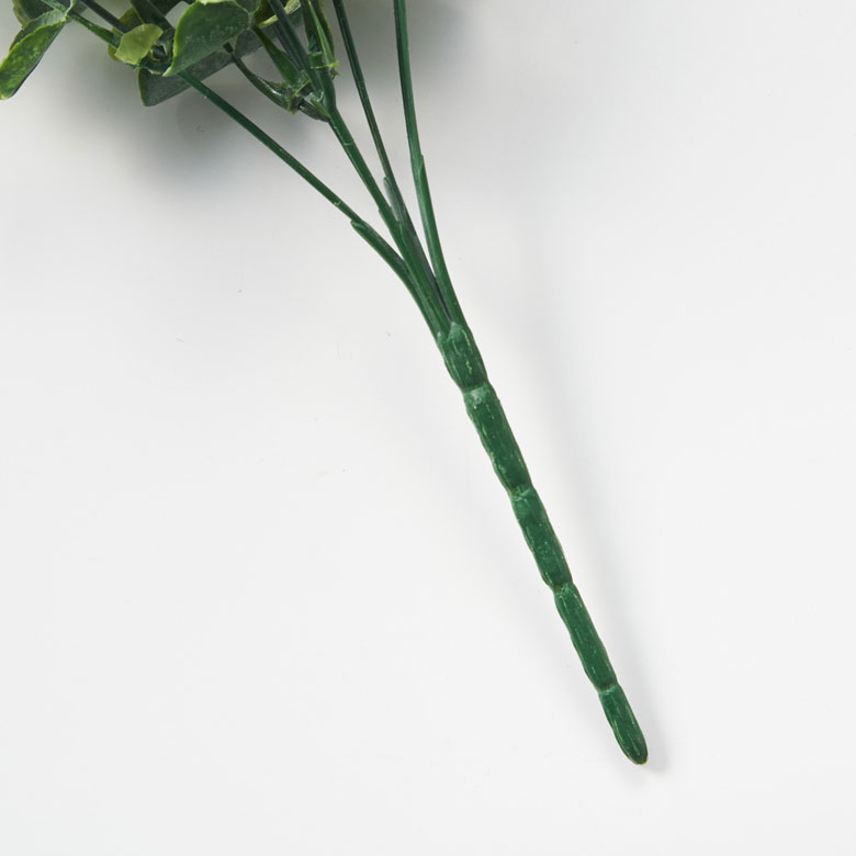 茎