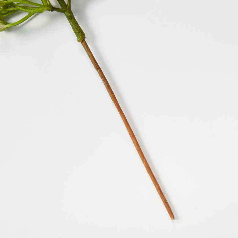茎