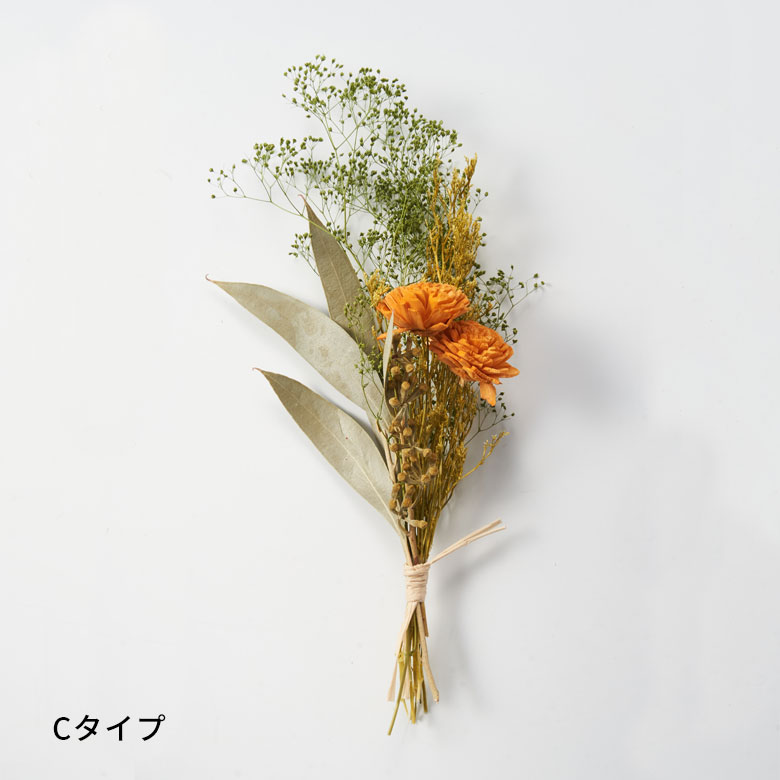 Cタイプ