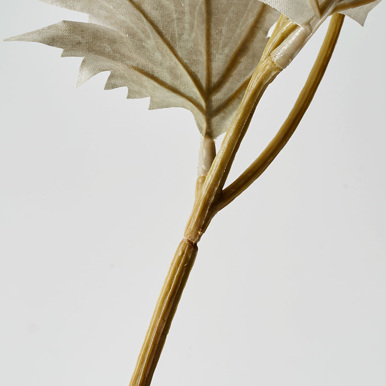 茎