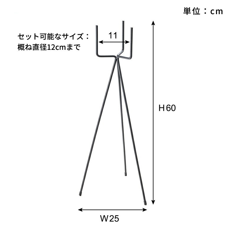 サイズ
