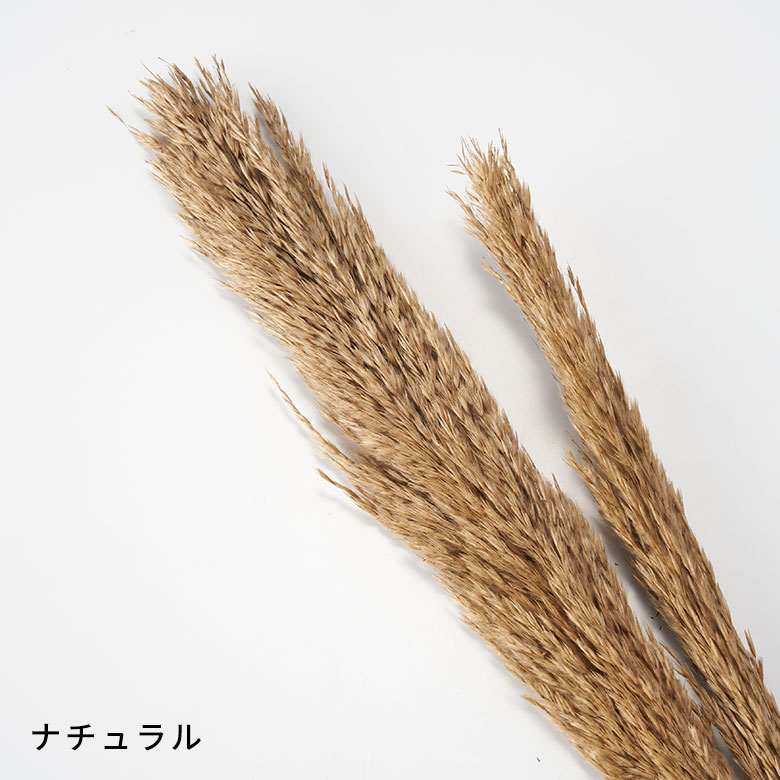 ナチュラル