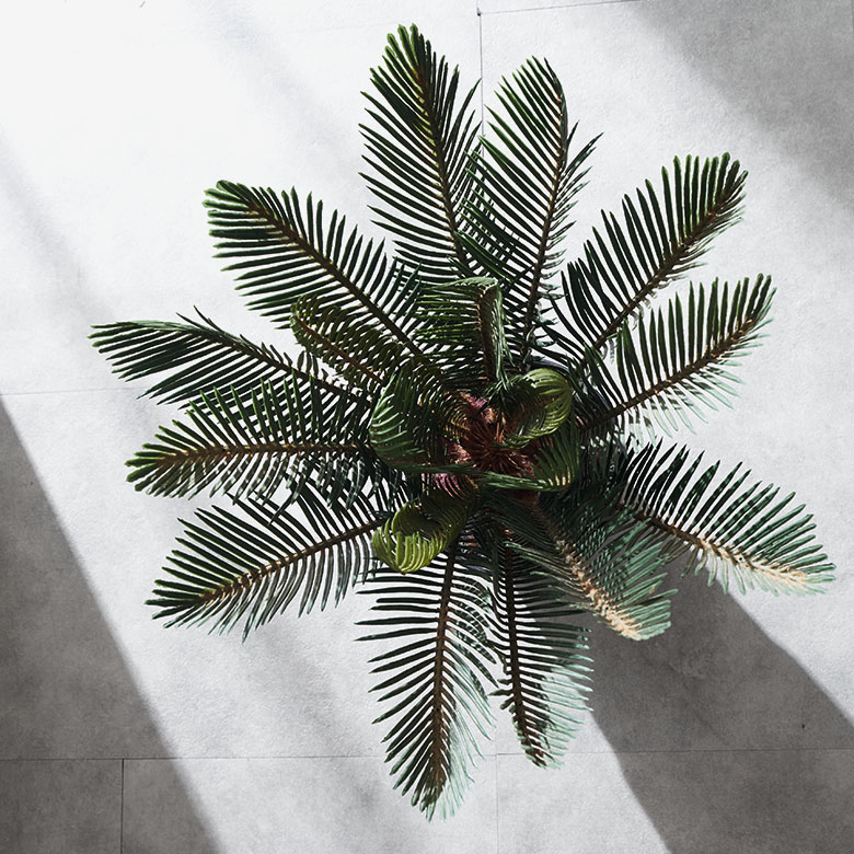植物を育てるのが苦手な方でも、本物そっくりのフェイクグリーンなら気軽