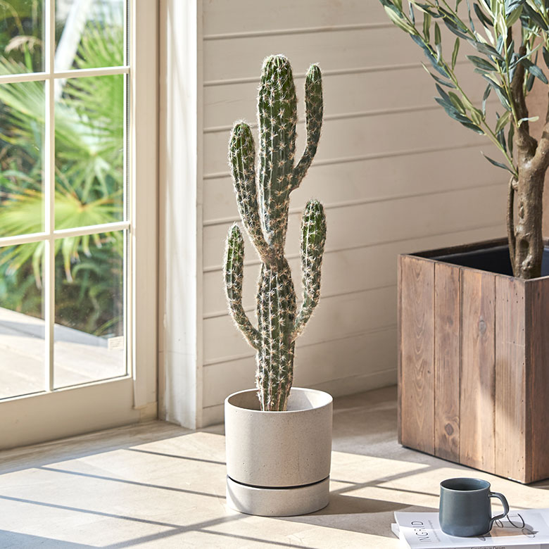  フェイク多肉植物