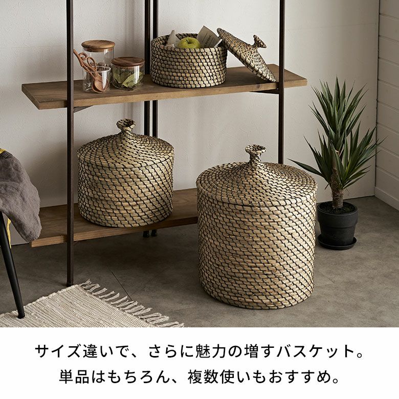 バスケット ふた付き かごバスケット ポット シーグラス 3点セット
