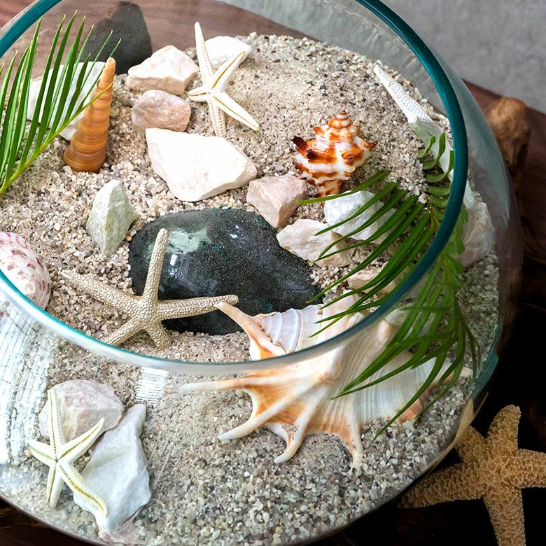 ガラスと流木のプランターオブジェ Lサイズ(12162) 【生活雑貨の