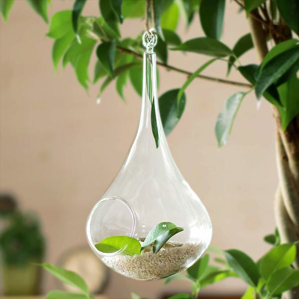 flying Fin 観葉植物ケース 000000000182-05.jpg?size=l&w=