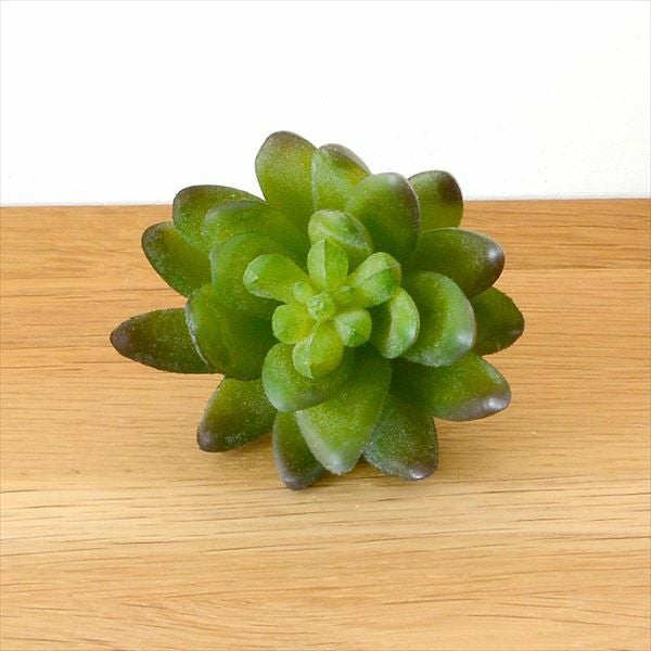 フェイク　多肉植物 28インチ フェイクリュウゼツラン多肉植物 人工植物 Amazon｜Ferrgoal アートフラワー鉢花