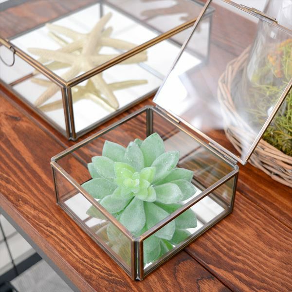 アオニウムのフェイク多肉植物[Dタイプ](63430) 【生活雑貨のELEMENTS