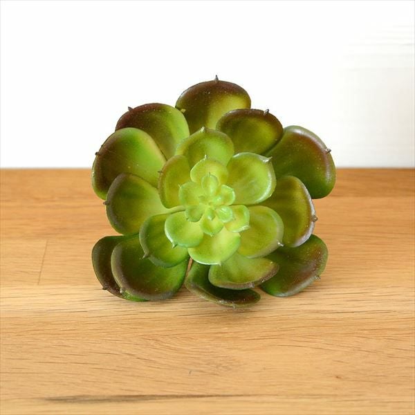 フェイク　多肉植物 000000000202-01.jpg?size=l&w=