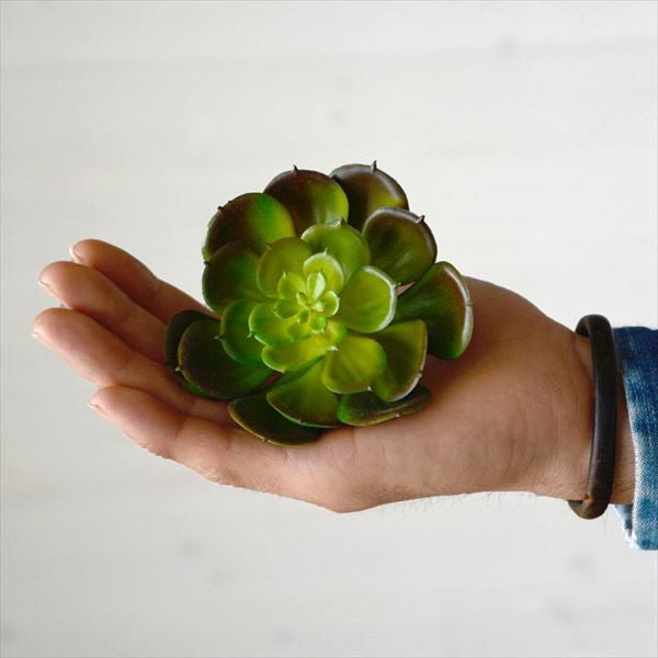 フェイク　多肉植物 エケベリアのフェイク多肉植物[Eタイプ](63440)【生活雑貨のELEMENTS