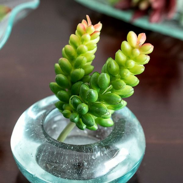 フェイク　多肉植物 000000000205-01.jpg?size=l&w=