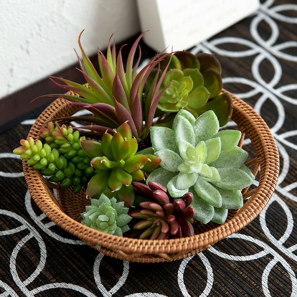 セダムモルガニュームのフェイク多肉植物[Hタイプ](63470) 【生活雑貨