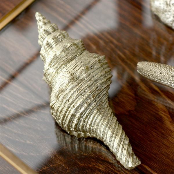 手のひらサイズの巻貝のオブジェ(2色展開)(64230-64231) 【生活雑貨の
