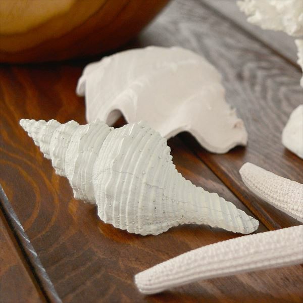 手のひらサイズの巻貝のオブジェ(2色展開)(64230-64231) 【生活雑貨の