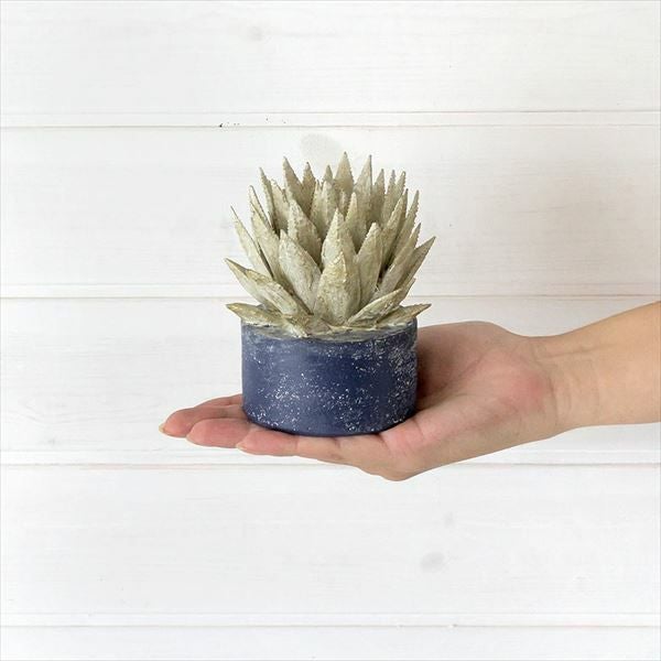 多肉植物のアンティーク風オブジェ（ガドレア）(64800)【生活雑貨の