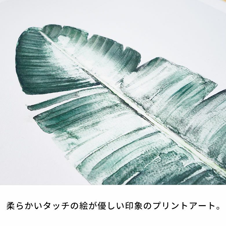 ナチュラルな雰囲気漂うバナナの葉をモチーフにしたボタニカルアート
