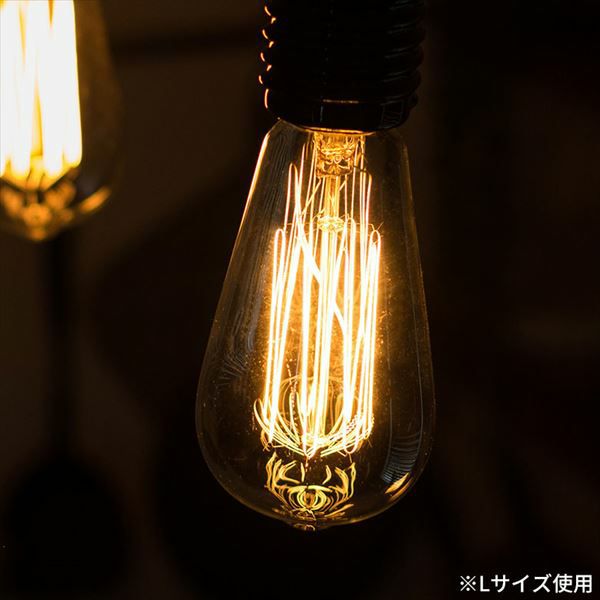 000000000583-01.jpg?size=m&w=
