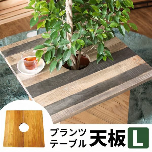 プランツテーブル スクエア 天板 角型 60cm × 60cm 木製 チーク プランツテーブル スクエア 天板 角型 60cm × 60cm 木製 チーク