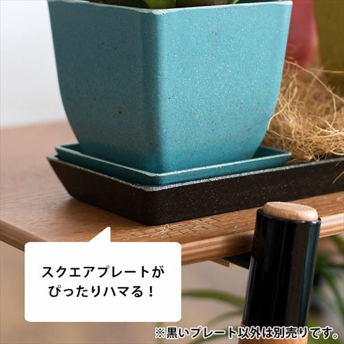 植木鉢用 受け皿 エコプレート 鉢皿 長方形 底面 約24.5cm×7.5cm